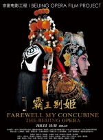 99国产高清久久久久久网站