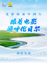 久久99久久精品国产只有