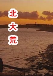 中国www黄色
