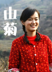 100只小虫图片