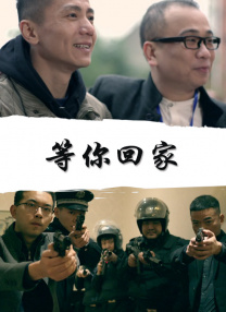 国产精品视频大全