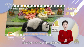 91亚色视频在线观看